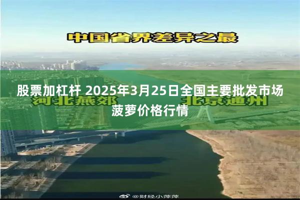 股票加杠杆 2025年3月25日全国主要批发市场菠萝价格行情