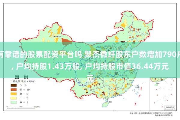 有靠谱的股票配资平台吗 聚杰微纤股东户数增加790户, 户均持股1.43万股, 户均持股市值36.44万元