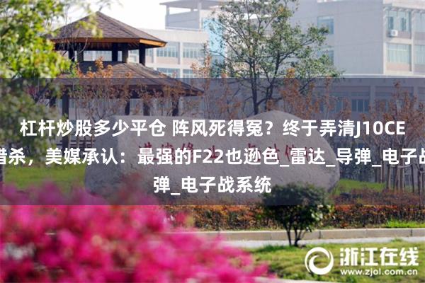 杠杆炒股多少平仓 阵风死得冤？终于弄清J10CE如何猎杀，美媒承认：最强的F22也逊色_雷达_导弹_电子战系统