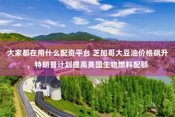 大家都在用什么配资平台 芝加哥大豆油价格飙升，特朗普计划提高美国生物燃料配额