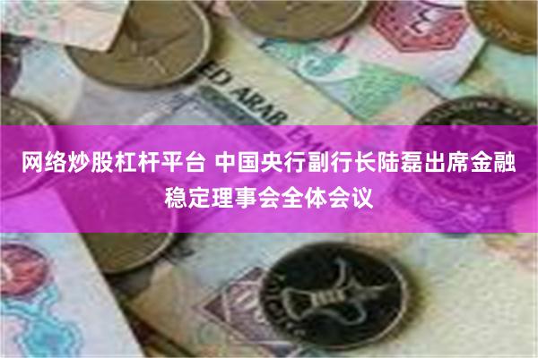 网络炒股杠杆平台 中国央行副行长陆磊出席金融稳定理事会全体会议