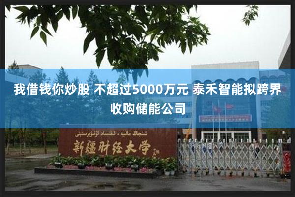 我借钱你炒股 不超过5000万元 泰禾智能拟跨界收购储能公司