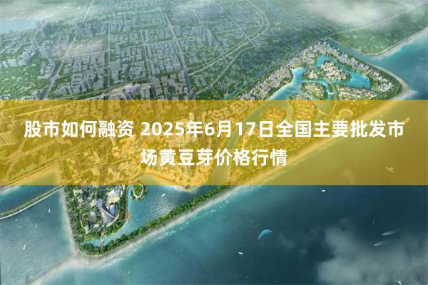 股市如何融资 2025年6月17日全国主要批发市场黄豆芽价格行情