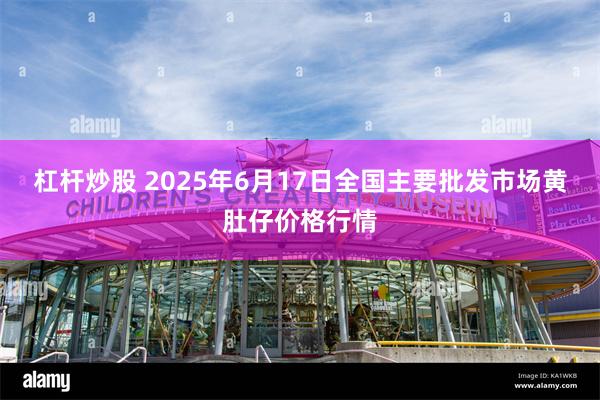 杠杆炒股 2025年6月17日全国主要批发市场黄肚仔价格行情