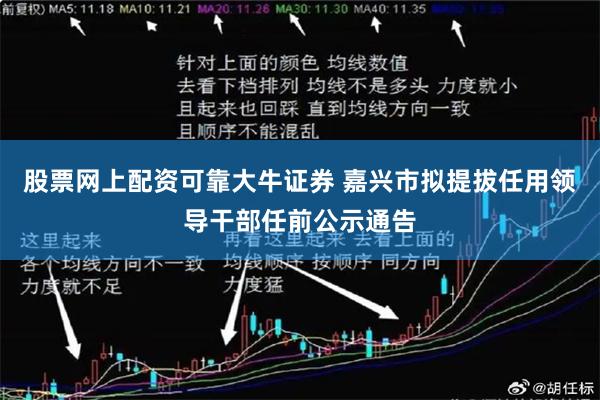 股票网上配资可靠大牛证券 嘉兴市拟提拔任用领导干部任前公示通告